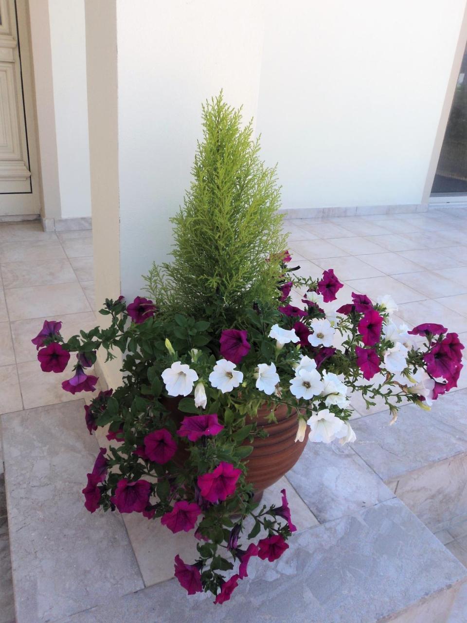 Citrus Grove Villa Argaka Exterior photo
